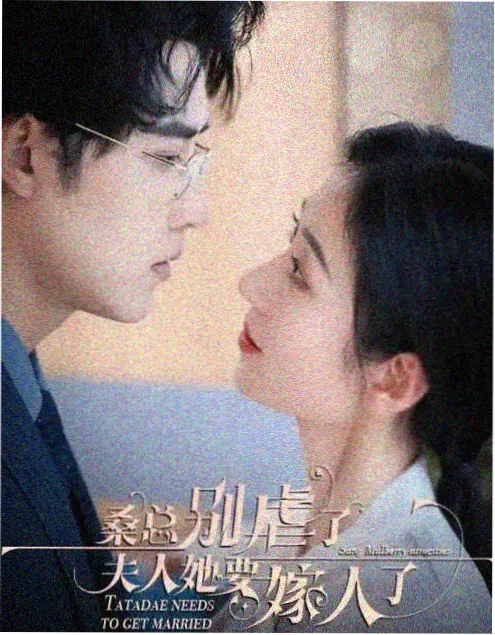 小宝影视年代剧长夜将明海报