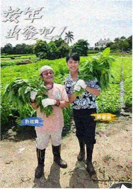 小宝影视音乐竞演综艺声音的战场海报